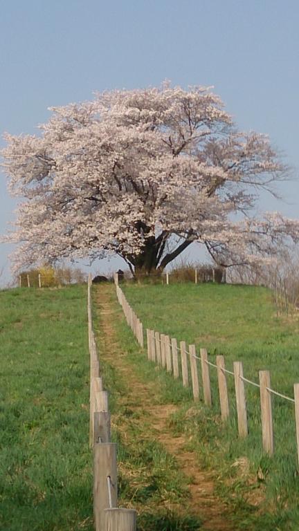 Active Resorts Iwate Hachimantai Hachimantai  Εξωτερικό φωτογραφία